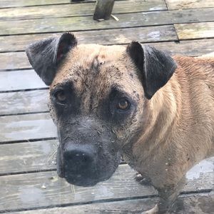 Meet your Posher, Karry